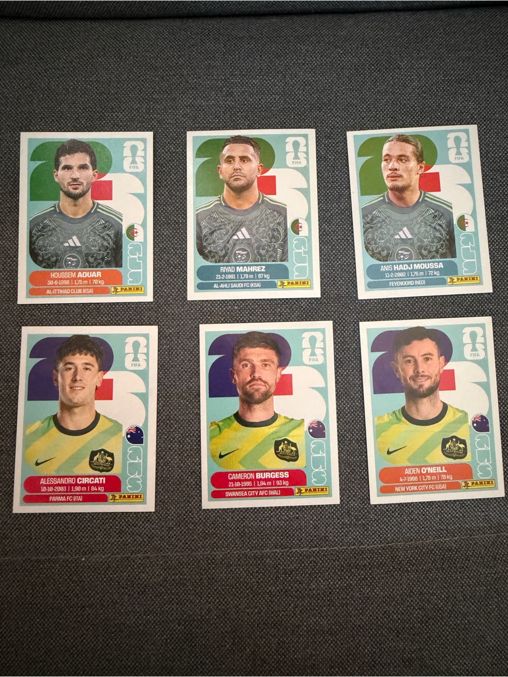 Panini Soccer Stickers